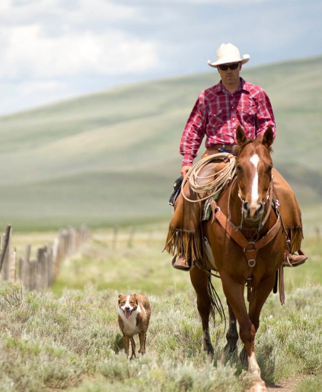 Cowboy in Centennial Valley