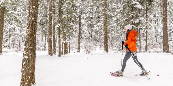 snowshoeing through a forest